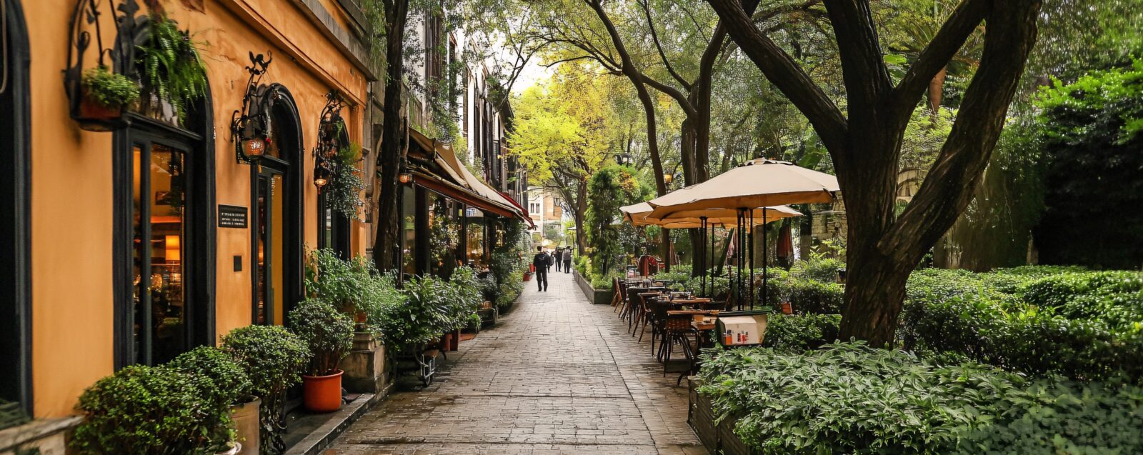 The historic charm of the French Concession, with tree-lined streets, colonial buildings, and cozy cafes exuding a European atmosphere