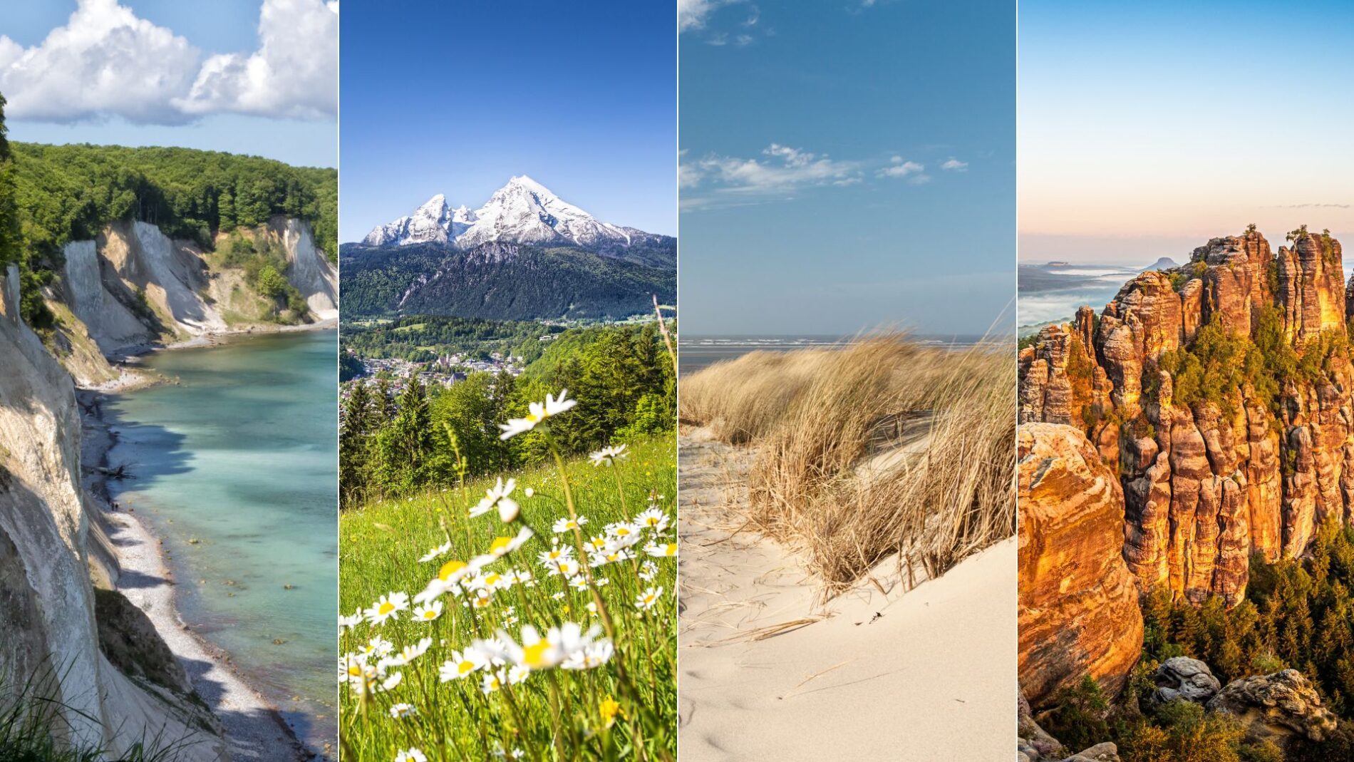 Design ohne Titel (4)