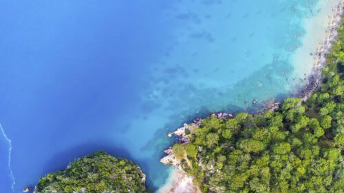 Esin Deniz/stock.adobe.com
